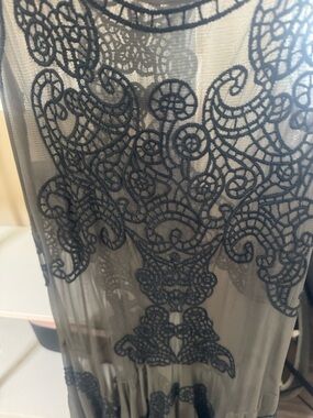 Sheer Mesh Dress with Ornate Black Embroidery
